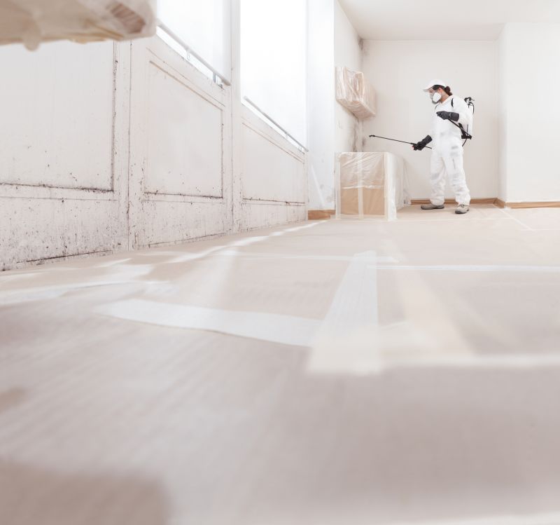 Air Duct Mold Removal in Boca Raton, FL