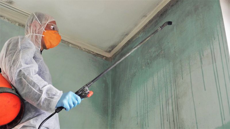 Attic Mold Remediation in Fort Worth, TX