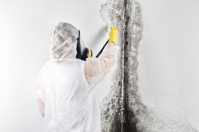 Attic Mold Removal in Dallas, TX
