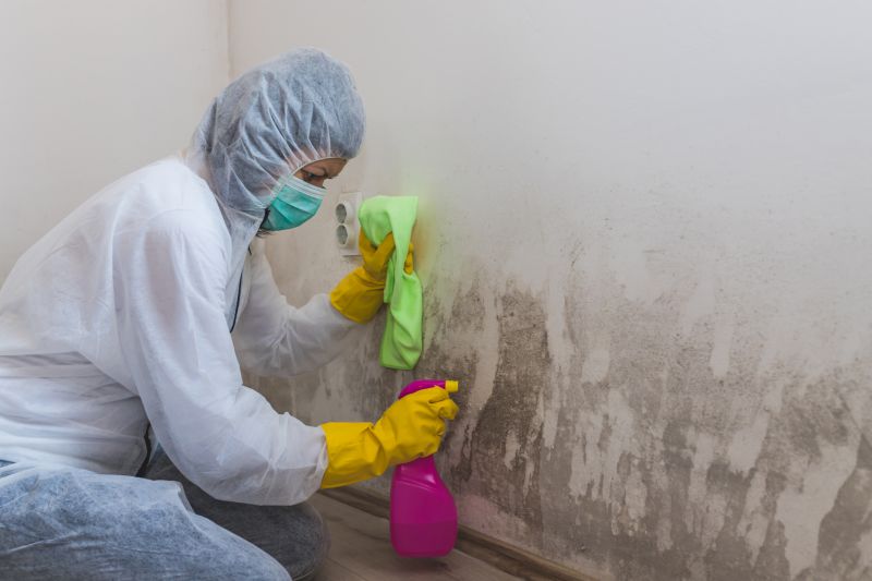 Basement Mold Removal in Dallas, TX