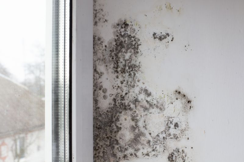 Black Mold Remediation in Frisco, TX