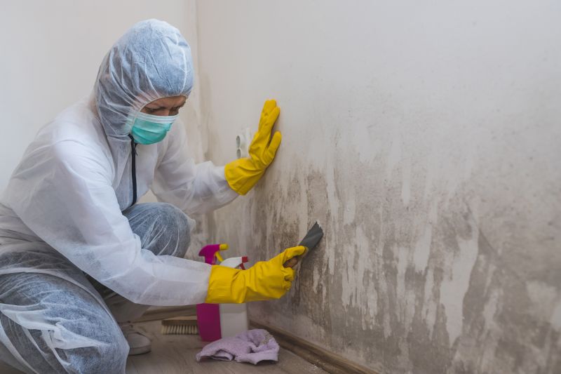 Black Mold Remediation in Fort Lauderdale, FL