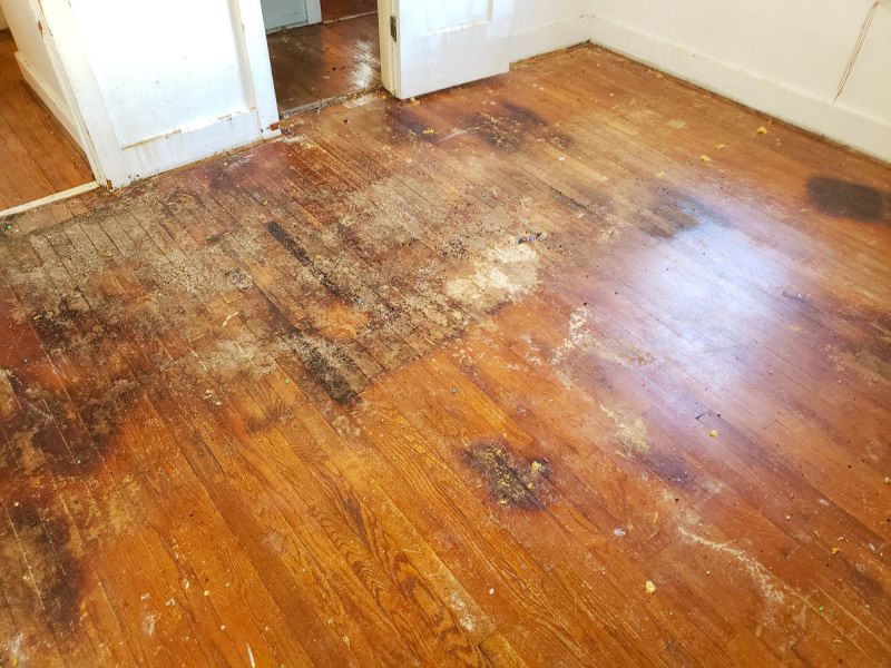 Condition of the Floor