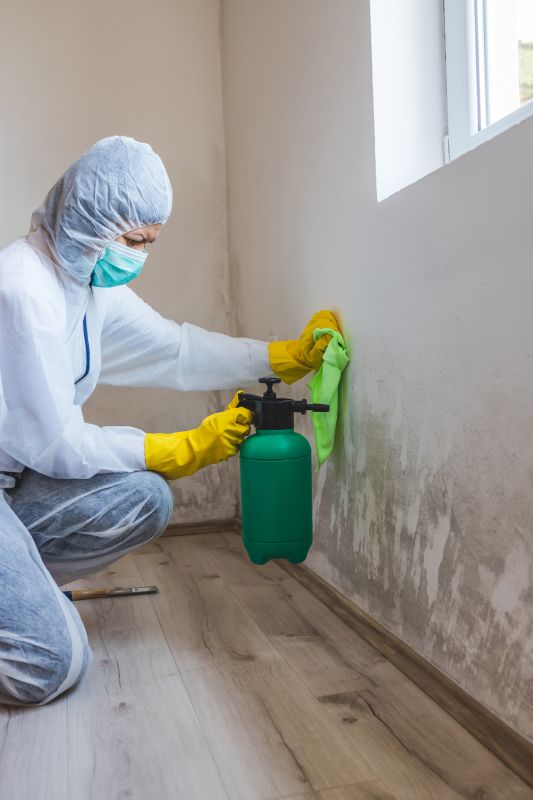 Crawl Space Mold Removal in Essex County, NJ