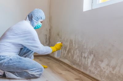 Garage Mold Remediation in Bergen County, NJ