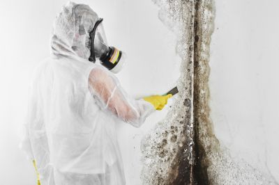 Mold Abatement in Rockwall, TX