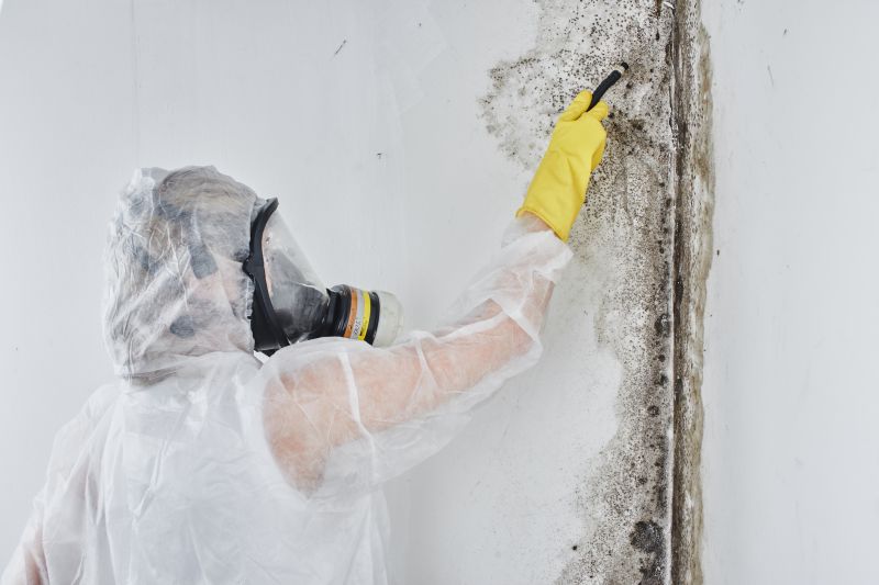 Mold Abatement in Weatherford, TX