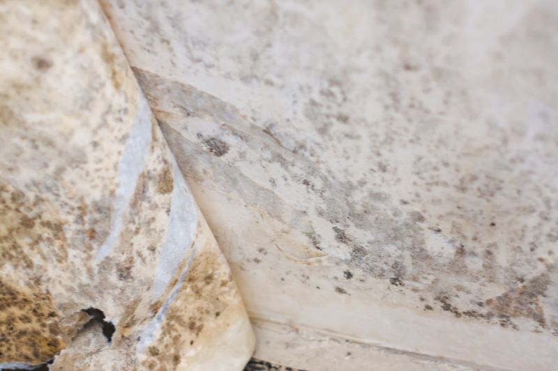 Mold Abatement Service in Fort Lauderdale, FL