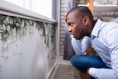 Mold Inspection And Removal in Bergen County, NJ