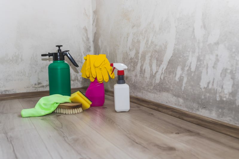 Mold Mitigation Service in Boca Raton, FL