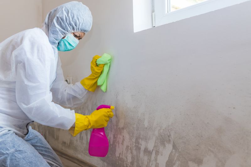 Mold Restoration in Jupiter, FL