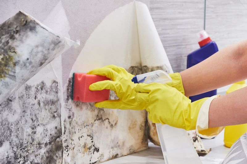 Mold Restoration in Jupiter, FL