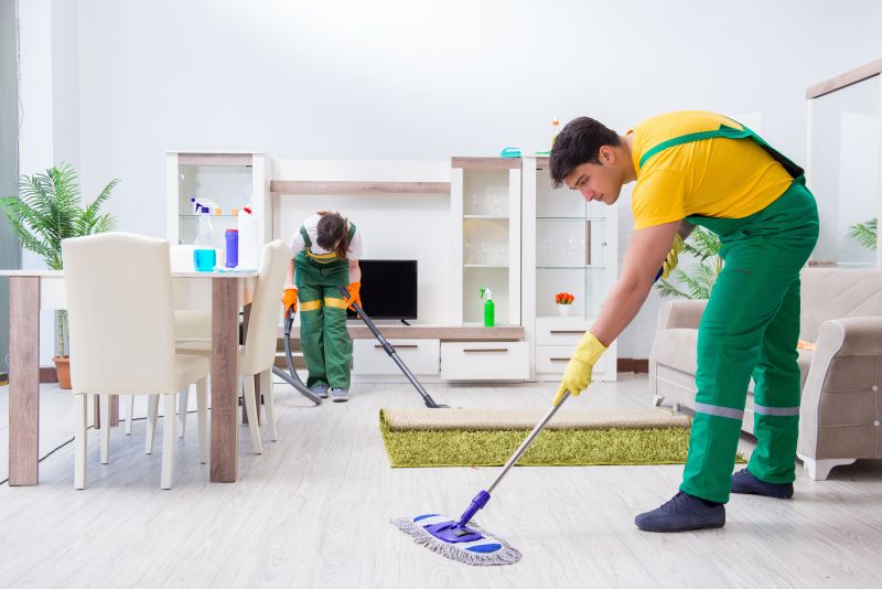 Townhouse Deep Cleaning in Bellevue, WA