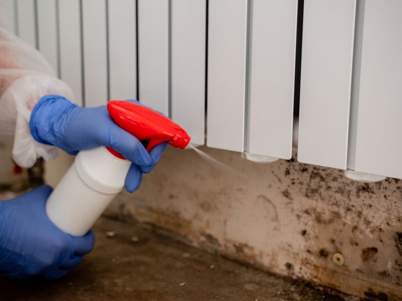 White Mold Mitigation in Fort Lauderdale, FL